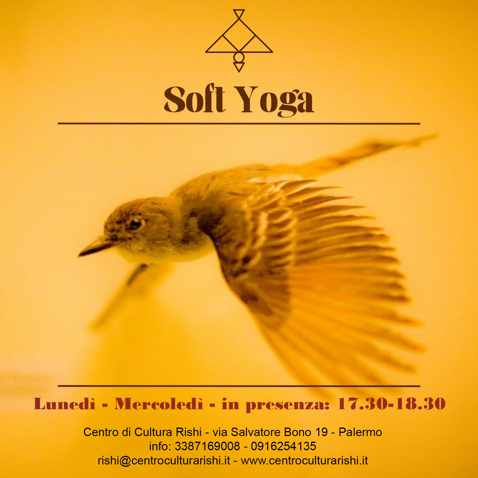 Soft Yoga
